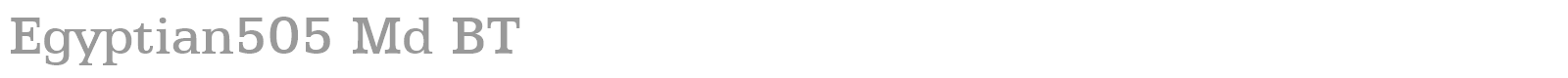 Egyptian505 Md BT font preview